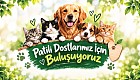 Öğrencilerimizle Patili Dostlarımızı Ziyaret Edeceğiz